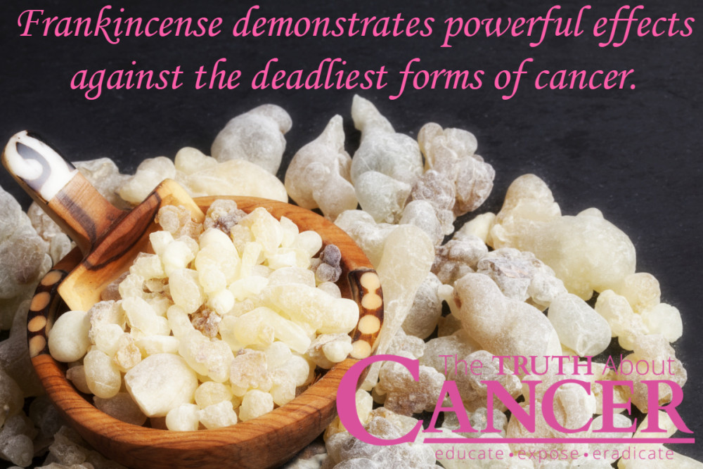 Frankincense and Cancer - What You Need to Know About This Essential ...