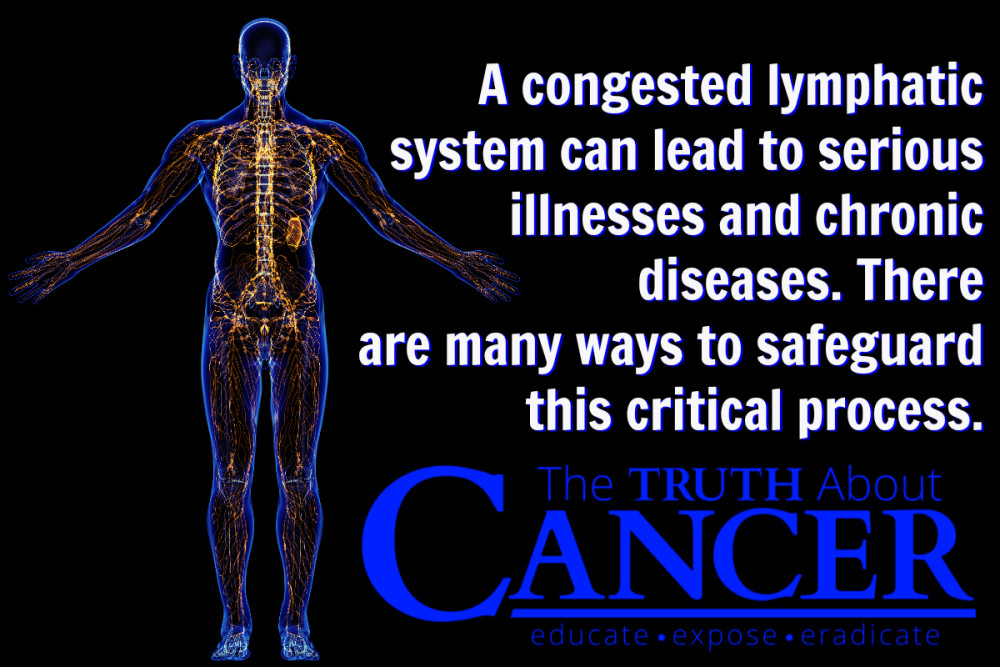 sistemul limfatic