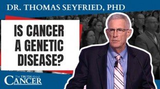 Is Cancer a Genetic Disease? The True Origin of Cancer (video) Is Cancer a Genetic Disease? The True Origin of Cancer (video)