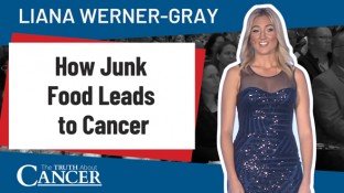 How Junk Food Leads to Cancer & Other Serious Health Issues: Part 1 (video) How Junk Food Leads to Cancer & Other Serious Health Issues: Part 1 (video)