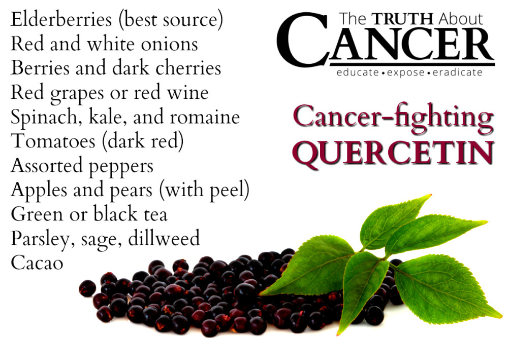 Discover How this Unknown Flavonoid Fights 5 Major Types of Cancer The Truth About Cancer