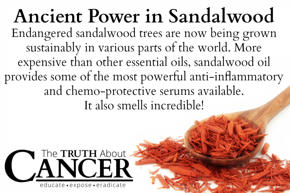What are some benefits of sandalwood oil?