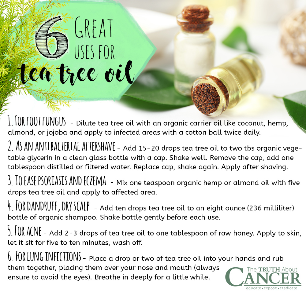 Top 10 Terrific Uses for Tea Tree Essential Oil