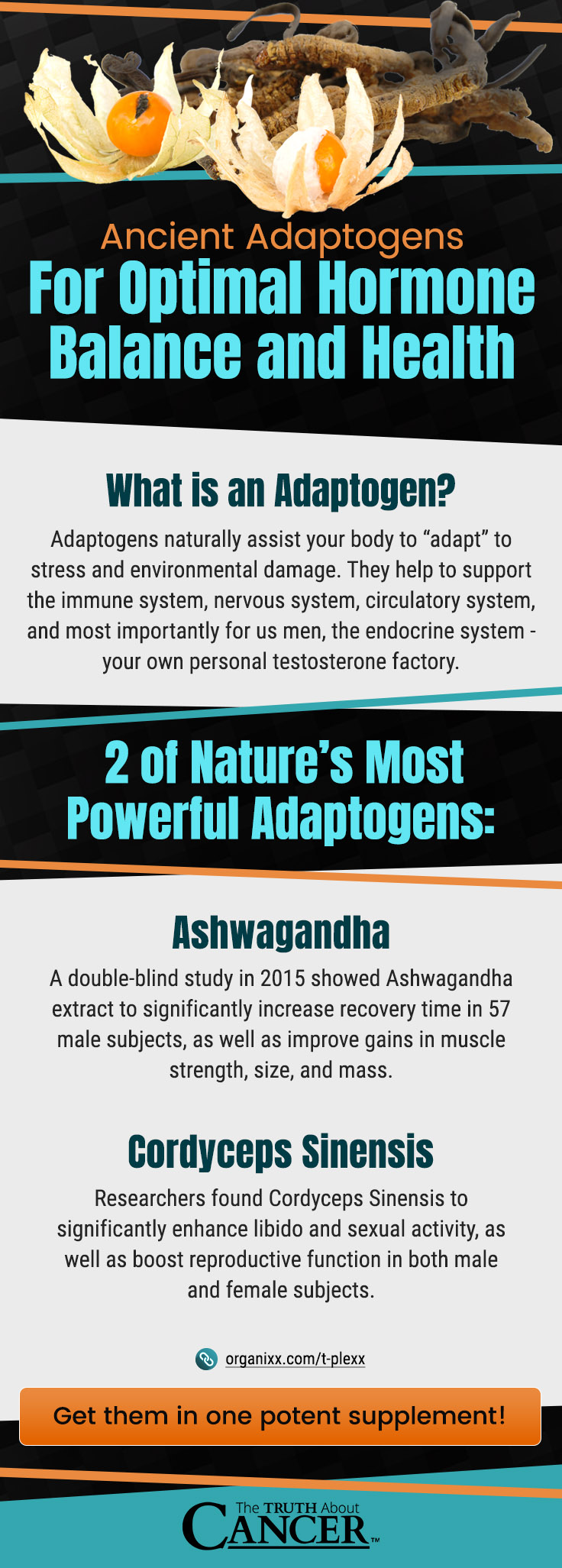 Testosterone Balance - Infographic2