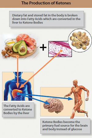 Burning ketones instead of glucose as a primary fuel source provides numerous health benefits, including for many types of cancer