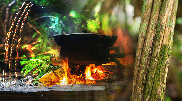 What is Ayahuasca and Is It an Effective Treatment for Cancer?