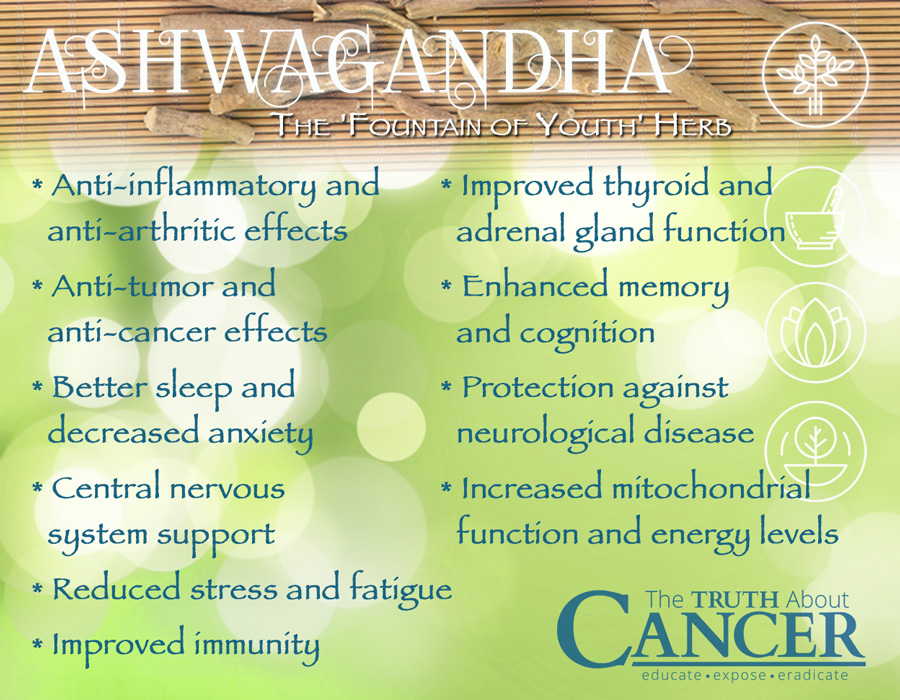 Here's a list of five magical health benefits of Ashwagandha that will leave you surprised.