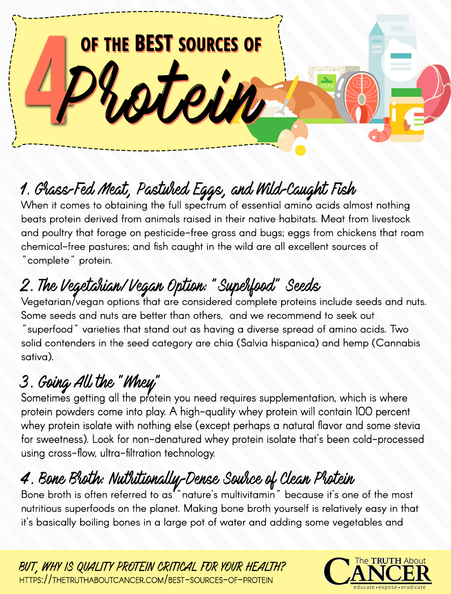 The Best Sources of Protein and Why Quality Protein is Critical for Health