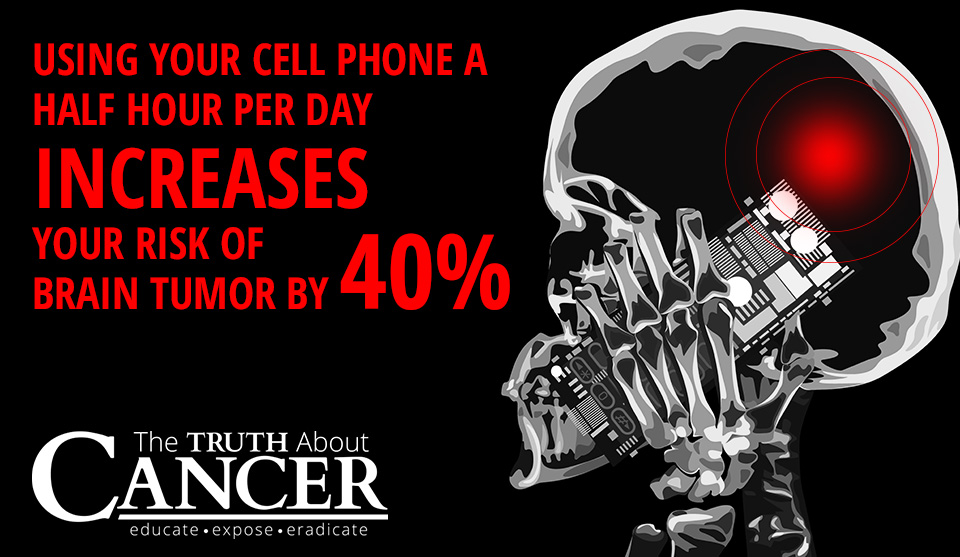 Do mobile phones cause cancer essay