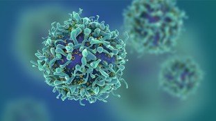 5 Unique Characteristics of Cancer Cells 5 Unique Characteristics of Cancer Cells