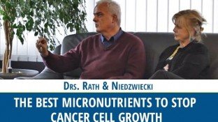 The Best Micronutrients to Stop Cancer Cell Growth (video) The Best Micronutrients to Stop Cancer Cell Growth (video)