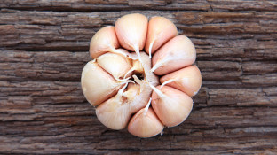 7 Cancer-Fighting Health Benefits of Garlic (+ Recipe) 7 Cancer-Fighting Health Benefits of Garlic (+ Recipe)