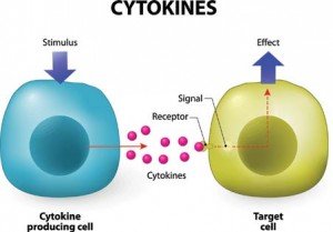 cytokines