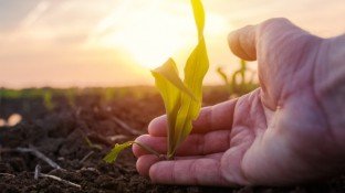 Understanding the Dangers of Glyphosate (& How to Minimize Exposure) Understanding the Dangers of Glyphosate (& How to Minimize Exposure)