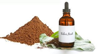Discover Why Fulvic Acid is So Good for Your Gut, Brain & Skin Discover Why Fulvic Acid is So Good for Your Gut, Brain & Skin