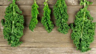 The Health Benefits of Kale: 9 Reasons to Love this Leafy Green Superfood The Health Benefits of Kale: 9 Reasons to Love this Leafy Green Superfood