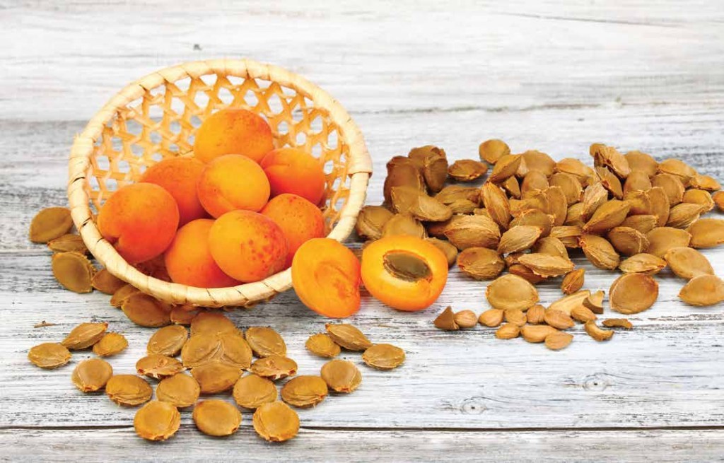 laetrile may