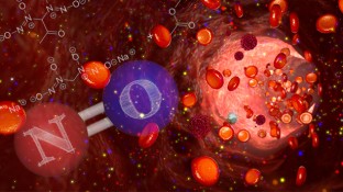 Is Nitric Oxide a Cancer-Healing Powerhouse? Is Nitric Oxide a Cancer-Healing Powerhouse?