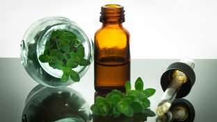 14 Practical Tips for Using Oregano Essential Oil 14 Practical Tips for Using Oregano Essential Oil