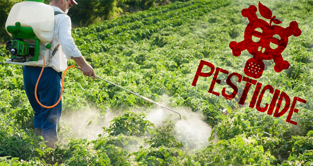 pesticides danger-cancer