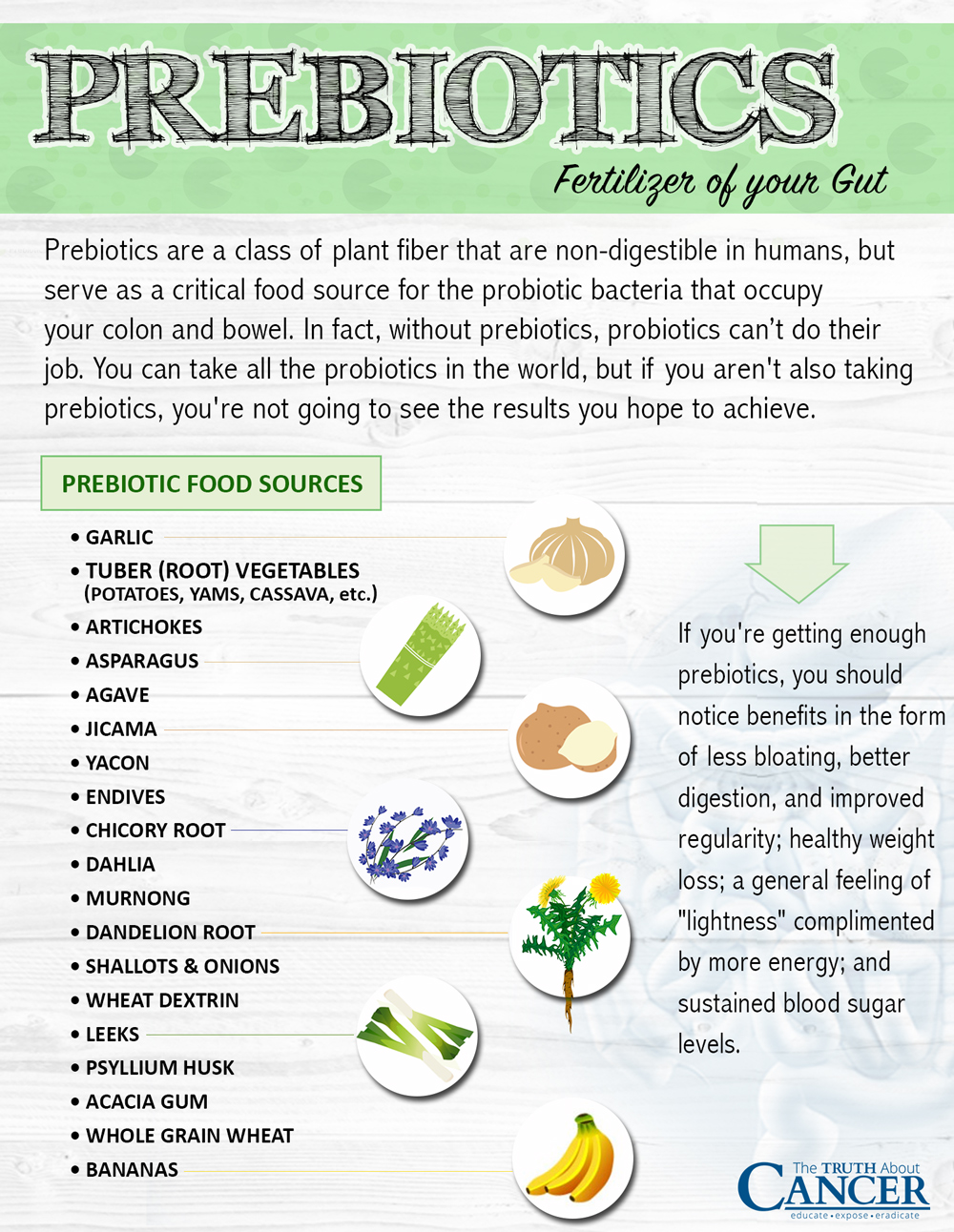 prebiotics-food-sources
