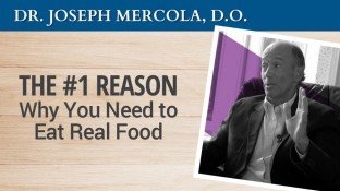 The #1 Reason Why You Need to Eat Real Food (video) The #1 Reason Why You Need to Eat Real Food (video)