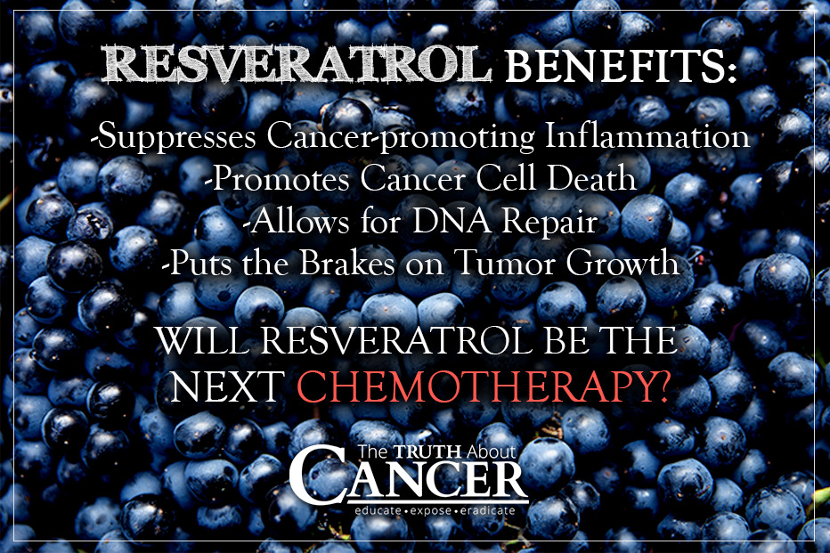 cancer-fighting-benefits-resveratrol-supplements