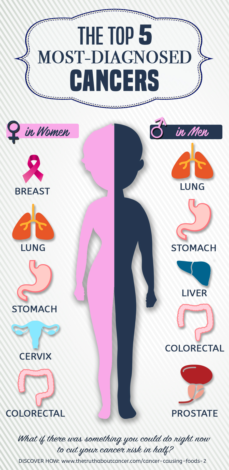 The top 5 most-diagnosed cancers in men and women.