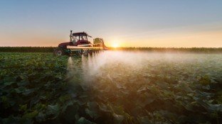 Weeding Out the Truth: Landmark Case Exposes Monsanto’s Glyphosate Lies Weeding Out the Truth: Landmark Case Exposes Monsanto’s Glyphosate Lies