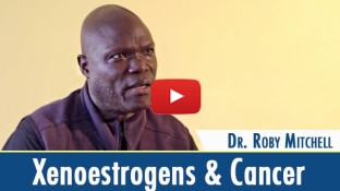 The Link Between Xenoestrogens and Cancer (video) The Link Between Xenoestrogens and Cancer (video)